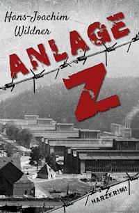 Anlage Z - Hans-Joachim Wildner - E-Book