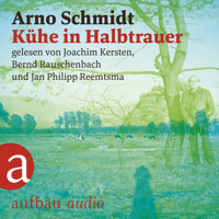 Kühe in Halbtrauer (Ungekürzt) - Arno Schmidt - Hörbuch