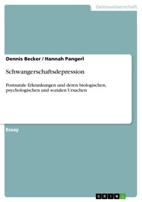 Schwangerschaftsdepression - Dennis Becker - E-Book