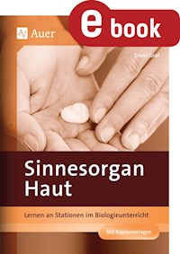 Sinnesorgan Haut - Erwin Graf - E-Book