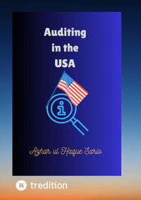 Auditing in the USA - Azhar ul Haque Sario - E-Book