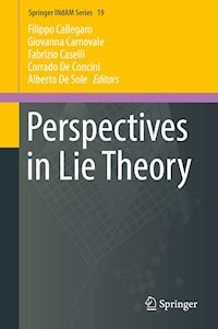 Perspectives in Lie Theory -  - E-Book
