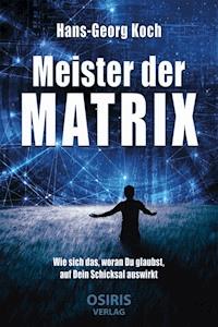 Meister der Matrix - Hans-Georg Koch - E-Book