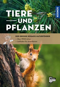 Der große Kosmos-Naturführer Tiere und Pflanzen - 乔治 德 马尔蒂诺 - E-Book