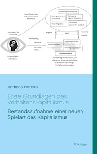 Erste Grundlagen des Verhaltenskapitalismus - Andreas Herteux - E-Book