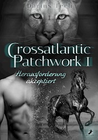 Crossatlantic Patchwork 1 - Darius Tech - E-Book