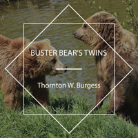 Buster Bear's Twins - Thornton W. Burgess - Hörbuch