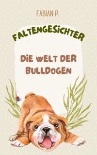 Faltengesichter - Fabian Pscherer - E-Book