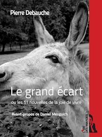 Le grand écart - Pierre Debauche - E-Book