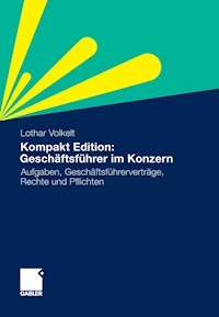 Kompakt Edition: Geschäftsführer im Konzern - Lothar Volkelt - E-Book
