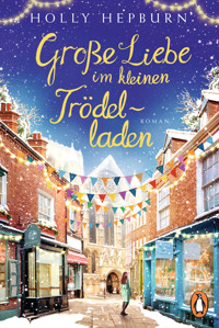 Große Liebe im kleinen Trödelladen - Holly Hepburn - E-Book