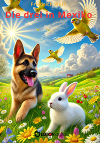 Drei nach Mexiko - Wolf Friedrich - E-Book