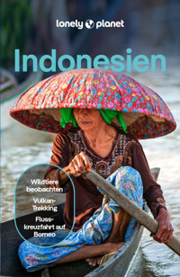 LONELY PLANET Reiseführer E-Book Indonesien - David Eimer - E-Book