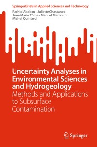 Uncertainty Analyses in Environmental Sciences and Hydrogeology - Rachid Ababou - E-Book