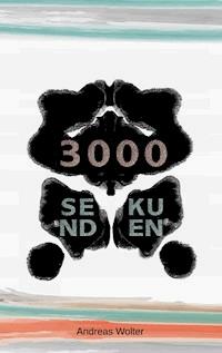 3000 Sekunden - Andreas Wolter - E-Book