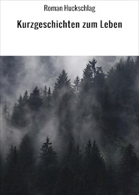 Kurzgeschichten zum Leben - Roman Huckschlag - E-Book