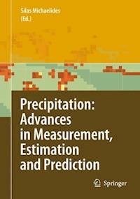 Precipitation: Advances in Measurement, Estimation and Prediction - - E-Book
