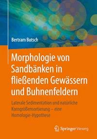 Morphologie von Sandbänken in fließenden Gewässern und Buhnenfeldern - Bertram Botsch - E-Book