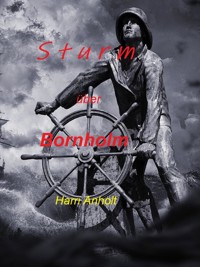 Sturm über Bornholm - Harri Anholt - E-Book