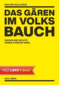 Das Gären im Volksbauch - Walter Hollstein - E-Book