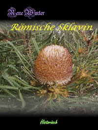 Römische Sklavin - Rene Winter - E-Book