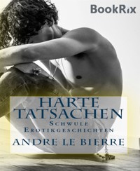 Harte Tatsachen - Andre Le Bierre - E-Book