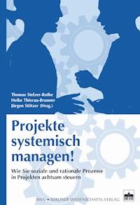 Projekte systemisch managen! -  - E-Book