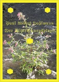 Der Ritterinnenspiegel - Paul Tobias Dahlmann - E-Book