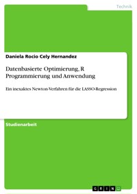 Datenbasierte Optimierung, R Programmierung und Anwendung - Daniela Rocio Cely Hernandez - E-Book