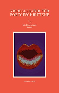 Visuelle Lyrik für Fortgeschrittene - Michael Felske - E-Book
