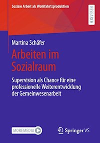 Arbeiten im Sozialraum - Martina Schäfer - E-Book