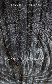 No One Is Sacrosanct - David Balaam - E-Book