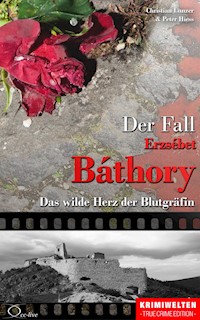 Der Fall Erzsébet Báthory - Christian Lunzer - E-Book