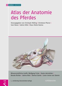 Atlas der Anatomie des Pferdes - BUDRAS ANATOMIE - E-Book