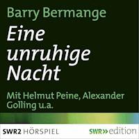 Eine unruhige Nacht - Barry Bermange - Hörbuch