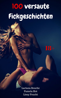 100 versaute Fickgeschichten - Lariana Bouche - E-Book