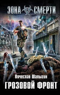 Грозовой фронт - Вячеслав Шалыгин - E-Book