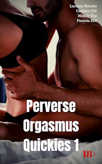 Perverse Orgasmus Quickies 1 - Lariana Bouche - E-Book
