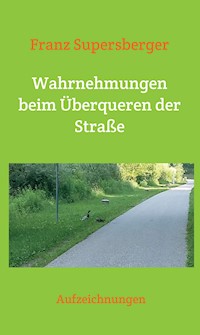 Wahrnehmungen beim Überqueren der Straße - Franz Supersberger - E-Book