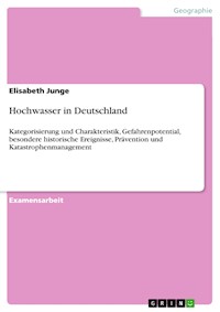 Hochwasser in Deutschland - Elisabeth Junge - E-Book