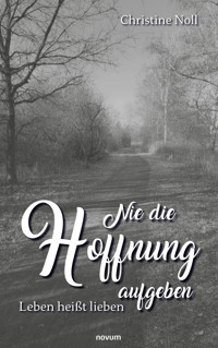 Nie die Hoffnung aufgeben - Christine Noll - E-Book