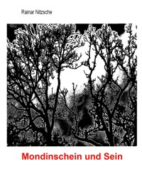 Mondinschein und Sein - Rainar Nitzsche - E-Book