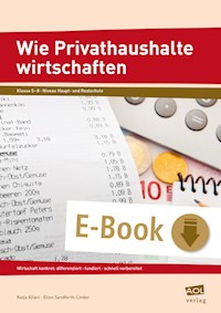 Wie Privathaushalte wirtschaften - Katja Allani - E-Book
