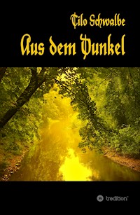 Aus dem Dunkel - Tilo Schwalbe - E-Book