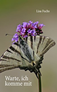 Warte, ich komme mit - Lisa Fuchs - E-Book