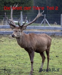 Die Welt der Tiere  Teil 2 - Gerhard Köhler - E-Book