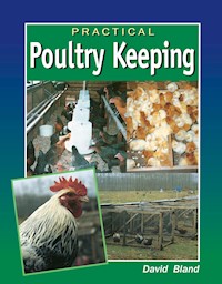Practical Poultry Keeping - David Bland - E-Book