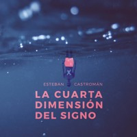 La cuarta dimensión del signo - Esteban Castromán - Hörbuch