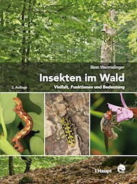 Insekten im Wald - Beat Wermelinger - E-Book