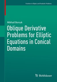 Oblique Derivative Problems for Elliptic Equations in Conical Domains - Mikhail Borsuk - E-Book